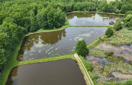 Dom w lesie przy stawach - Foto 5