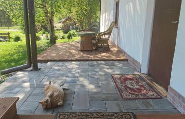 Ostoja Leśna Cisza - Foto 30