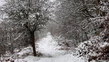 Apartment 3 The Baileys Cwm - Foto 4