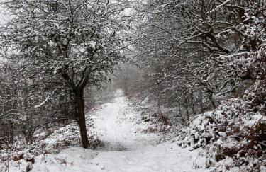 Apartment 3 The Baileys Cwm - Foto 4