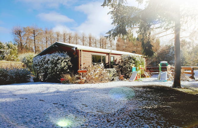 Height of Dunedin - Photo 11