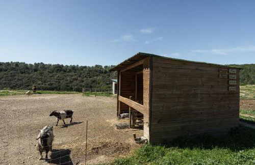 Mas El Brugué - Foto 25