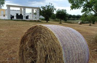 Casa Loredana - Foto 44