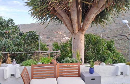 DRAGO 100, quiet and friendly - Foto 21