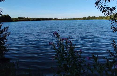 Ferienhaus Rosa - Foto 19