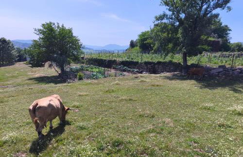 Casa do Cabo - Foto 17