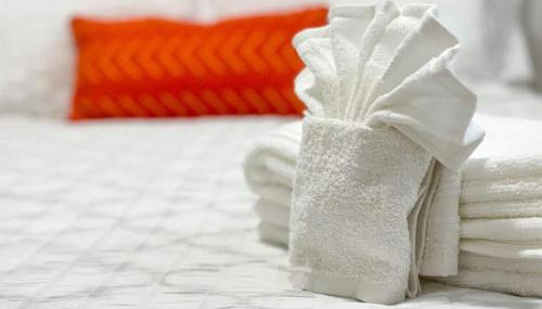 Beautiful Spacious Stylish near Busch Gardens - Foto 5