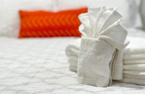 Beautiful Spacious Stylish near Busch Gardens - Foto 5