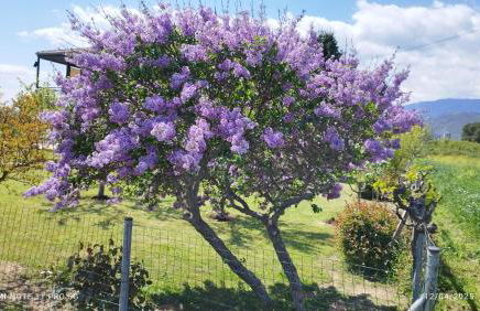 Meteora countryside villa - Foto 11