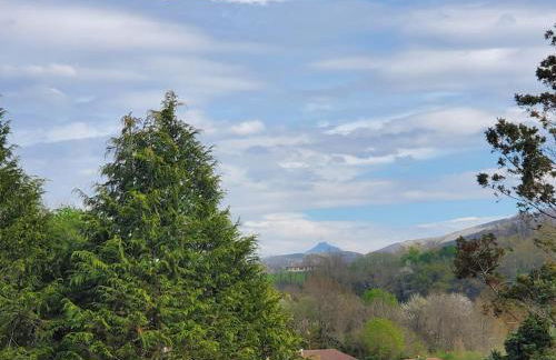 VILLATIMAHE 4 étoiles vue montagnes au calme 6 min des plages - Foto 57