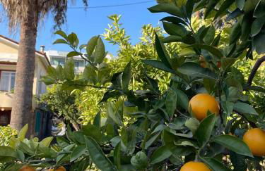 Peculiar Garden Apartment - Photo 38