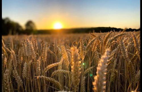 Maison familiale Ecole des Filles - Foto 10