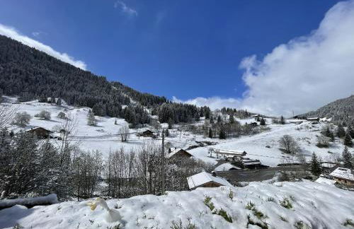 LCZ Dolce - Un Cocon à La Clusaz - Foto 39