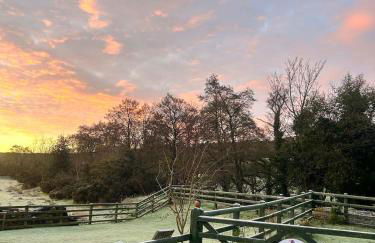 Shepherds hut, Eco, Log burner Hot tub NY moors - Foto 40