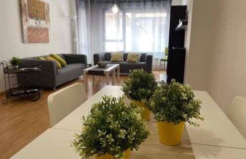 Apartamentos Ribera Navarra - Bardenas - Photo 7