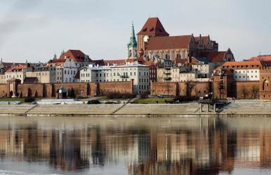 Apartament Torun - Photo 66