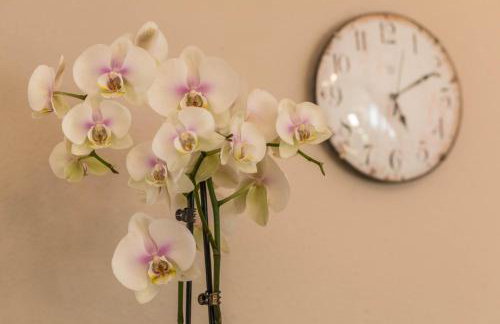 Ferienwohnung Schürer - Foto 5