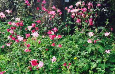 Pen Y Bont Cottage Llanuwchllyn Bala - Foto 46