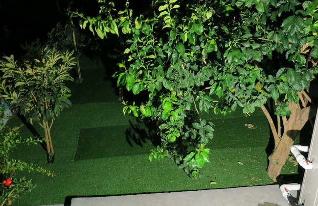 Room-andoni's House in Pitrofos Andros i - Photo 24