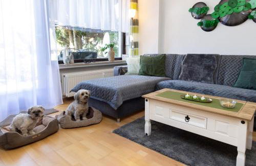 FeWo Harzer Bergwind Sankt Andreasberg, 1 Hund bis 30Kg willkommen, große eingezäunte Terrasse mit Gasgrill - Foto 6