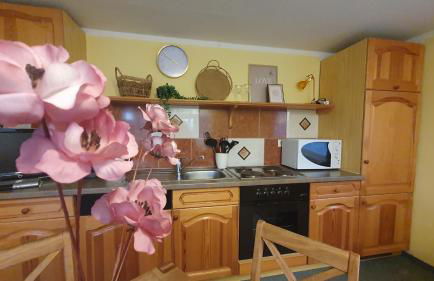 Blütenhaus im Rhododendronpark 5 min zum See - Foto 10