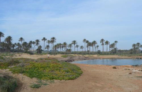 Super zeezicht in eerste lijn met verwarmd zwembad en fitness - Foto 33