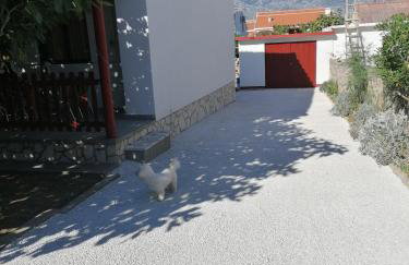 Kuća za odmor Ana - Photo 28