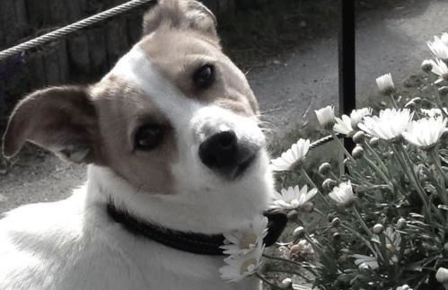 FEWO_ORTSZEIT - Foto 26