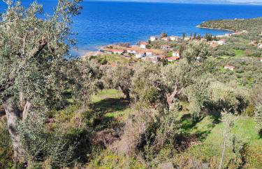 erofili apartments - Photo 50