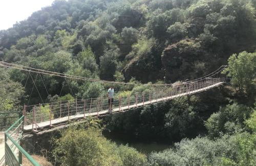 Quinta Pedro e Inês - Foto 53