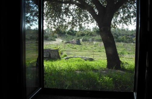 Quinta da Alma Cheia - Foto 57