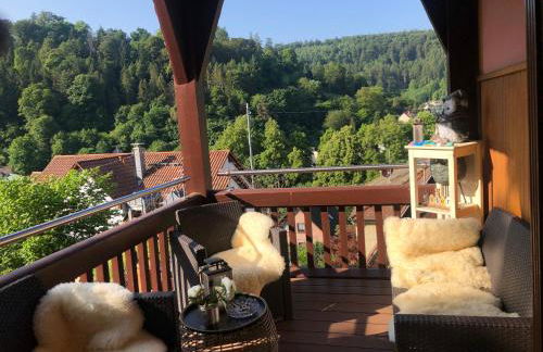Familienglück im Schwarzwaldhaus mit Schlossblick - Foto 73
