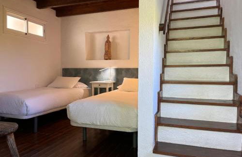 Dos Violetas - Foto 22