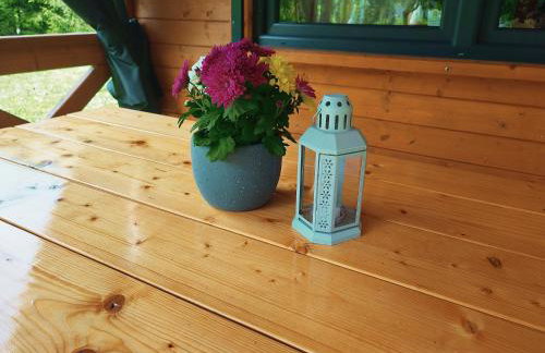 Smrekowa Chatka w Milówce - Foto 19