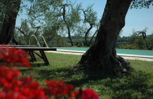 Agriturismo Le Querce - Foto 9