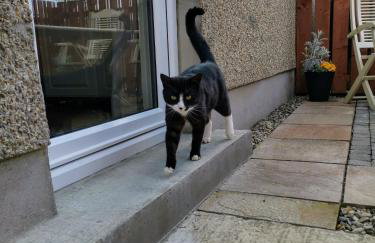 The Nook @ Rowan Tree Cottage - Foto 26