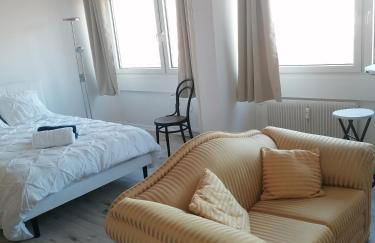 Entre 2 Rives Strasbourg-Kehl - Foto 13