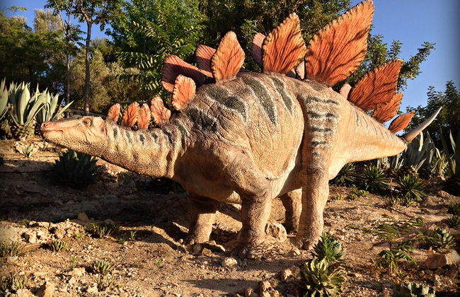 Dinopark Algar - Foto 6