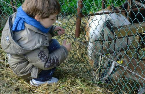 Il Vignale - Foto 16