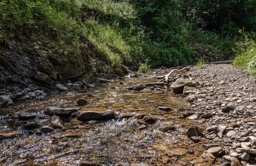 Dom Malowany - Domki - Foto 24