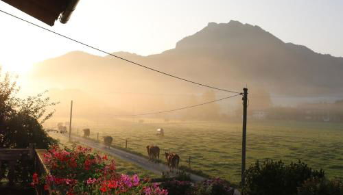 Schneiderhof Ferienwohnung mit Alpenblick - Foto 4