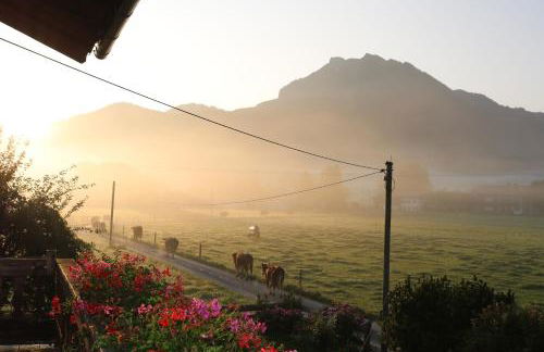 Schneiderhof Ferienwohnung mit Alpenblick - Foto 4