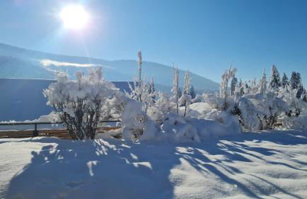 Landhaus Eibelesee - Foto 59