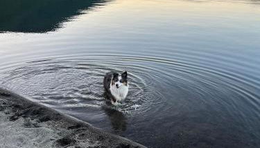 SOHO Borgonovo by Dasso - Case Vacanze e Appartamenti - Foto 4