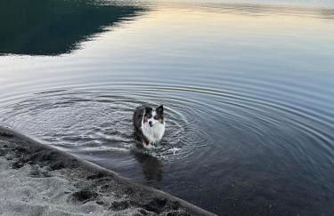 SOHO Borgonovo by Dasso - Case Vacanze e Appartamenti - Foto 4