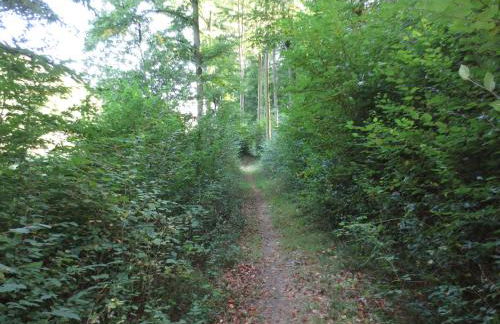 Ferienunterkunft Börner - Foto 23