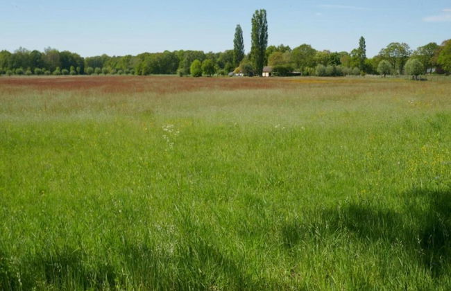 Stylish Stay in Vorden Woods - Foto 35