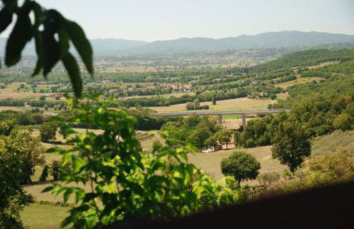 Al Podere del Nonno Romolo - Photo 41