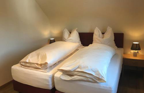 Gasthof Zum Ochsen - Foto 58