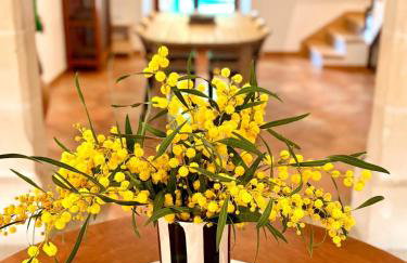 Country House Es Trenc - Foto 18